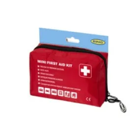 Mini First Aid Kit